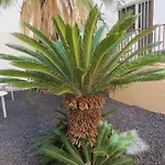 Apartamento Isa *