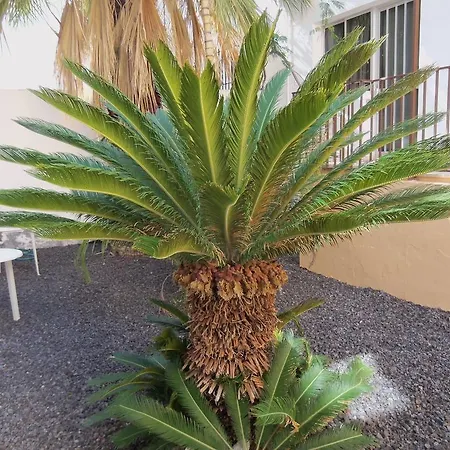 Apartament Isa *